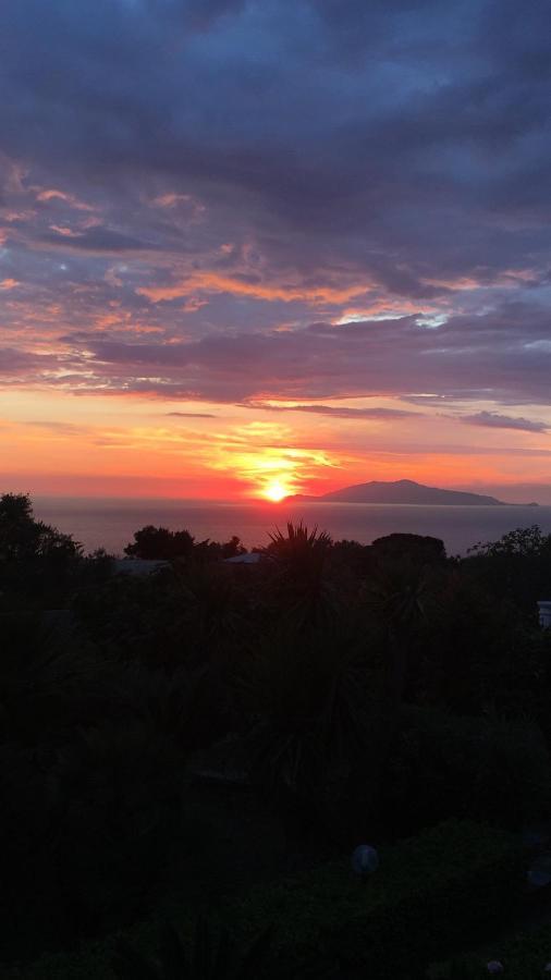 Villa Damecuta B&B Anacapri  Exteriér fotografie