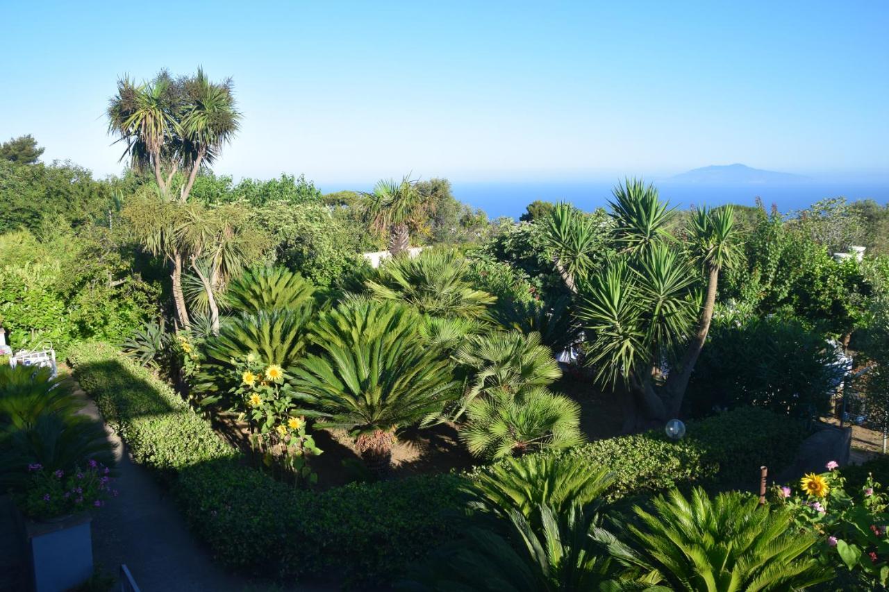 Villa Damecuta B&B Anacapri  Exteriér fotografie