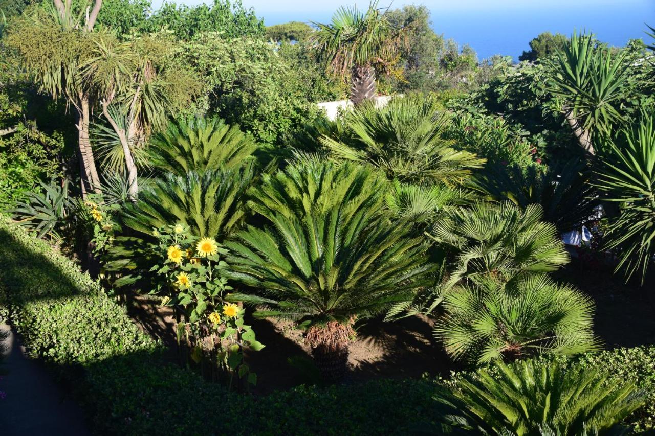 Villa Damecuta B&B Anacapri  Exteriér fotografie