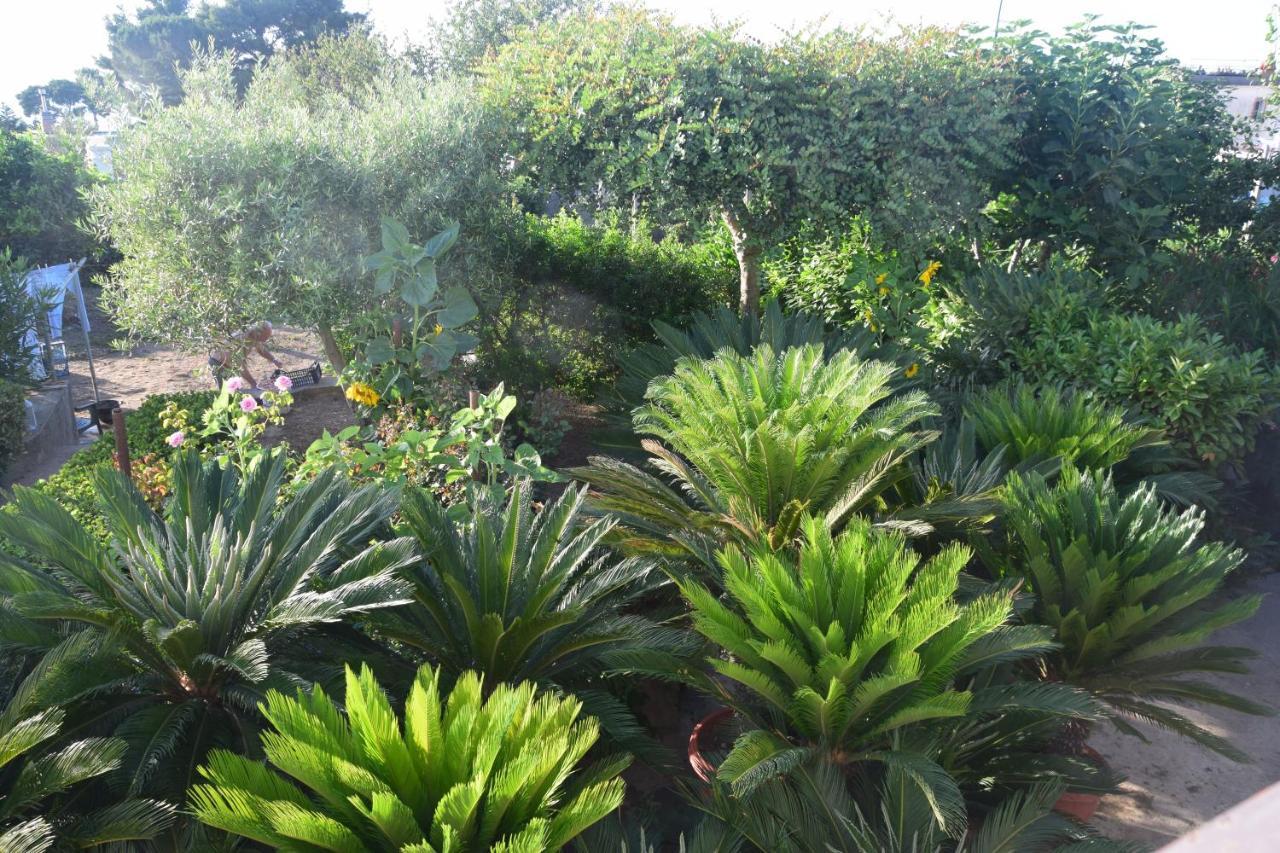 Villa Damecuta B&B Anacapri  Exteriér fotografie